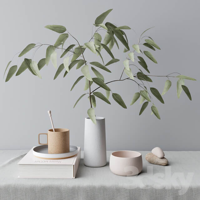 decorative set with eucalyptus branch