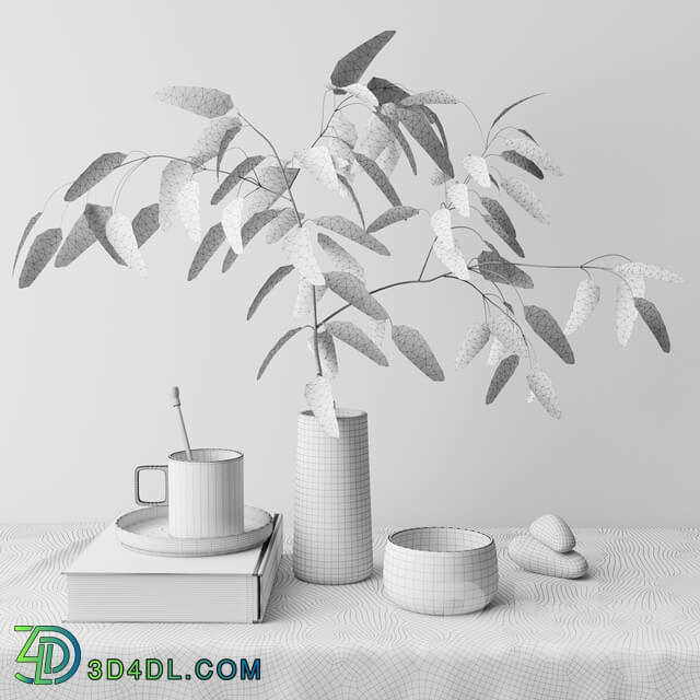 decorative set with eucalyptus branch