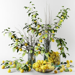 Plant Bouquet of Chinese apple tree branches with yellow apples 
