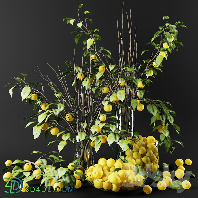 Plant Bouquet of Chinese apple tree branches with yellow apples