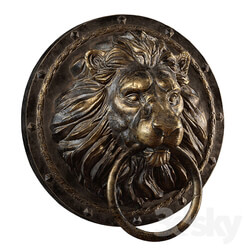 Lion head medalion 