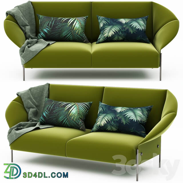 Modern sofa