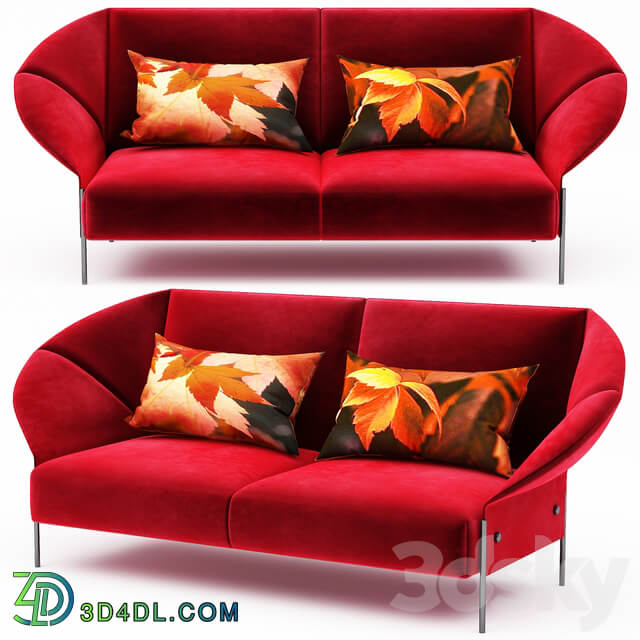 Modern sofa