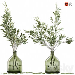 Olive stems in glass vase with water 