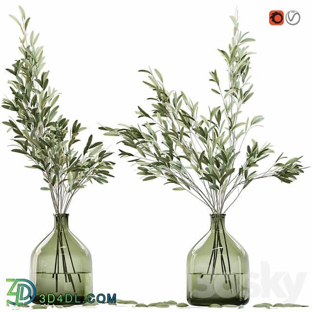 Olive stems in glass vase with water