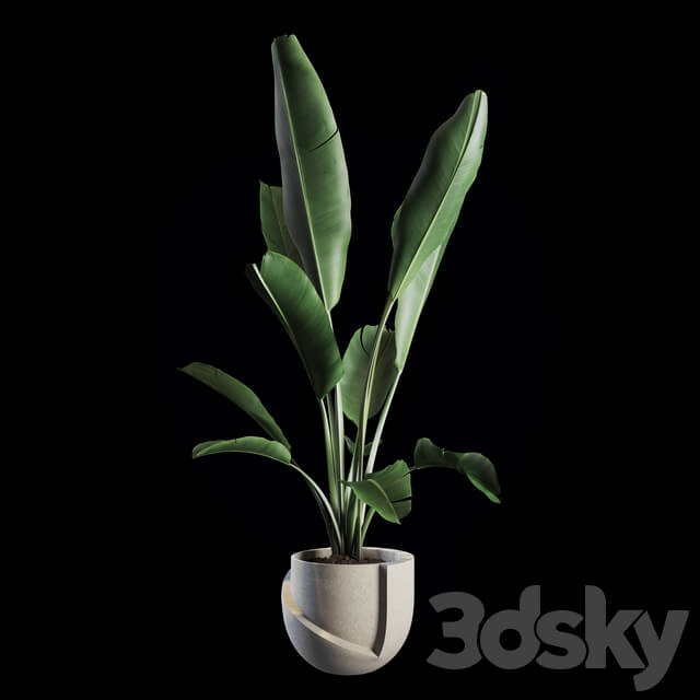 Indoor Plants Set 02