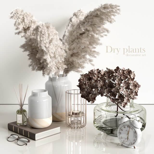 Decorative set with dry plants 4