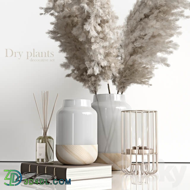 Decorative set with dry plants 4