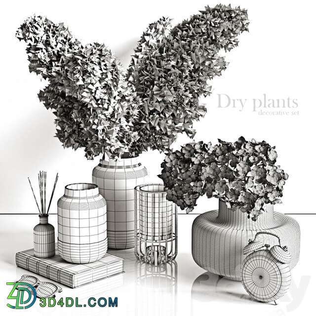 Decorative set with dry plants 4