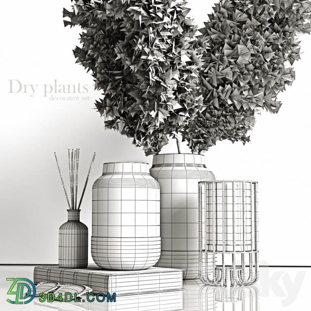 Decorative set with dry plants 4