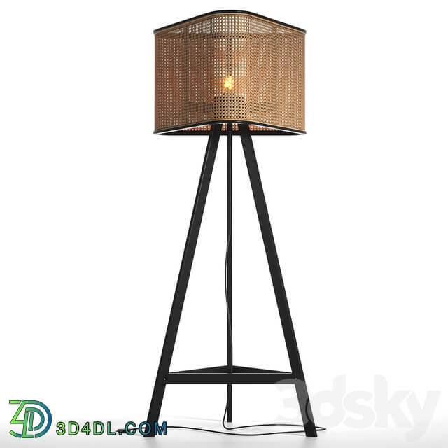 Cane Floor Lamp