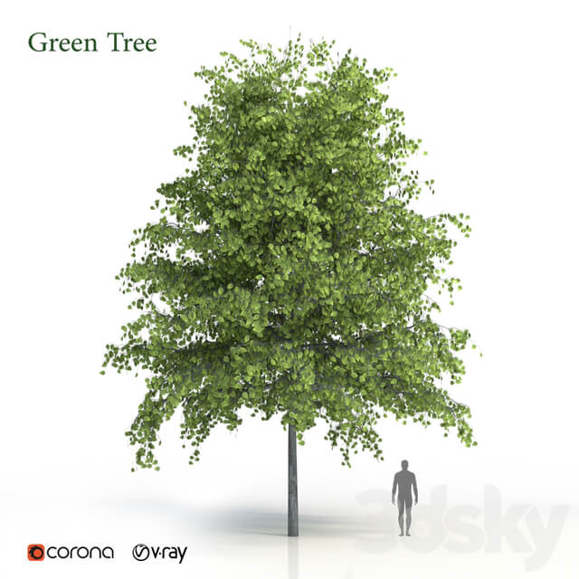 Green tree