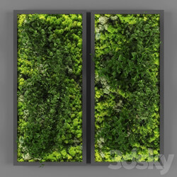 Fitowall Vertical garden 062 