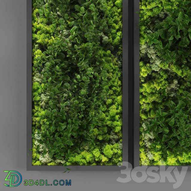 Fitowall Vertical garden 062