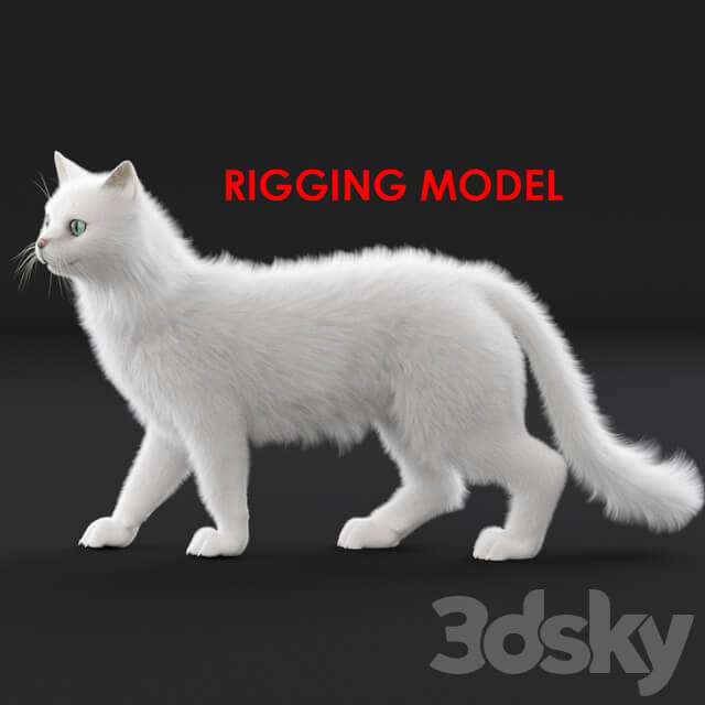 White cat rig 