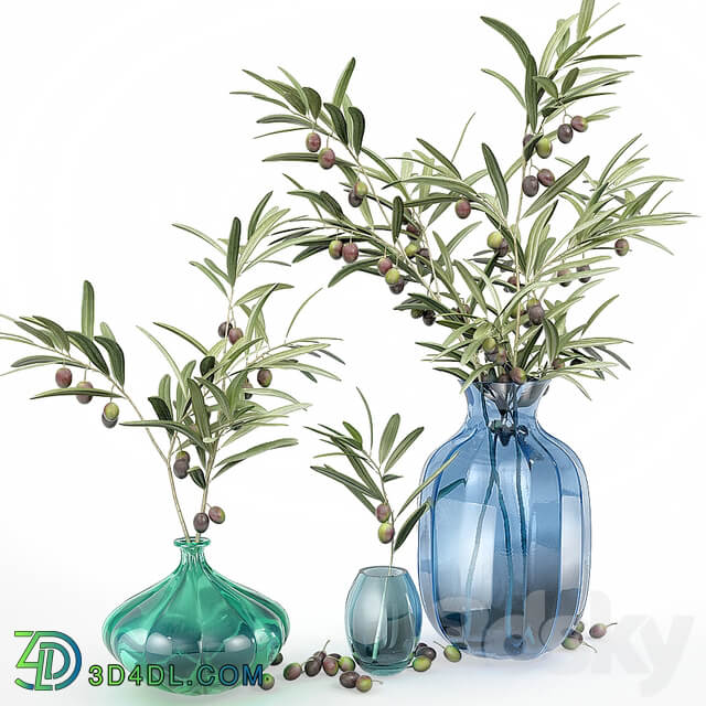 Bouquet of olive branches