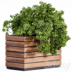 Plant Box Green Wood 