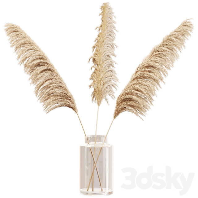 Dry branches of pampas grass in glass vase