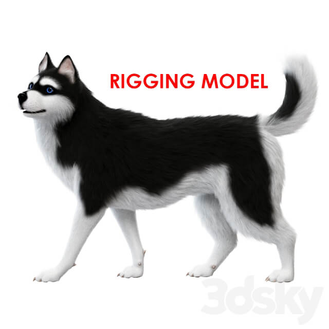 Dog rig 