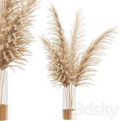 Dried flower pampas grass in glass gold vase 
