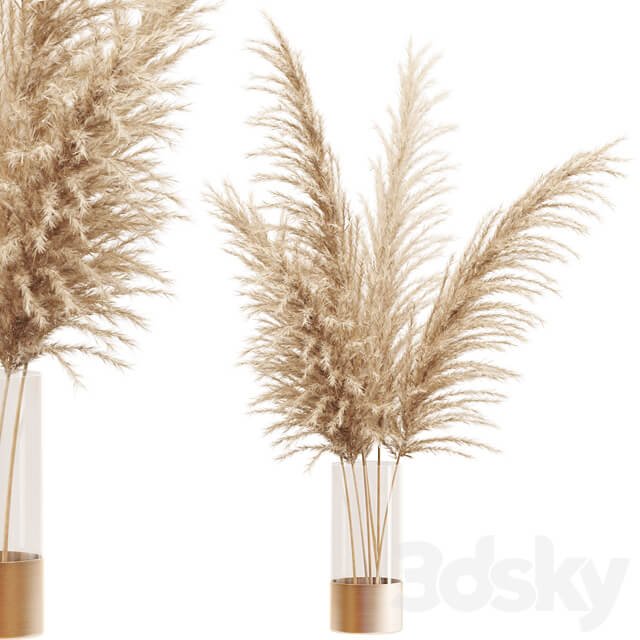 Dried flower pampas grass in glass gold vase