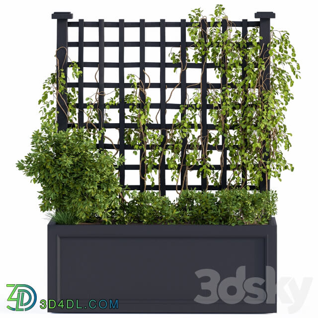 Outdoor Outdoor Plant Box Black