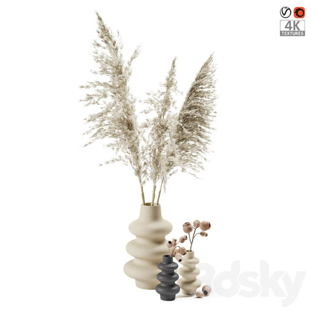 Vases with dried plants 3D Models