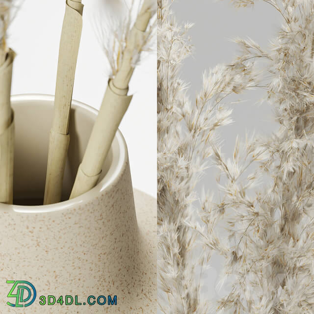 Vases with dried plants 3D Models