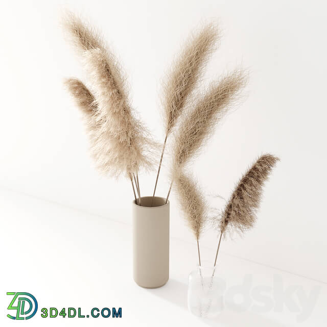 Set of pampas in vase