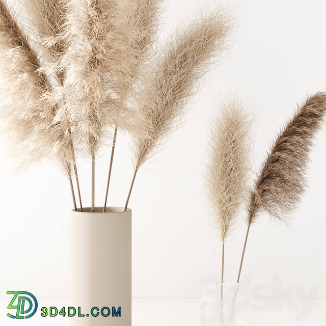 Set of pampas in vase