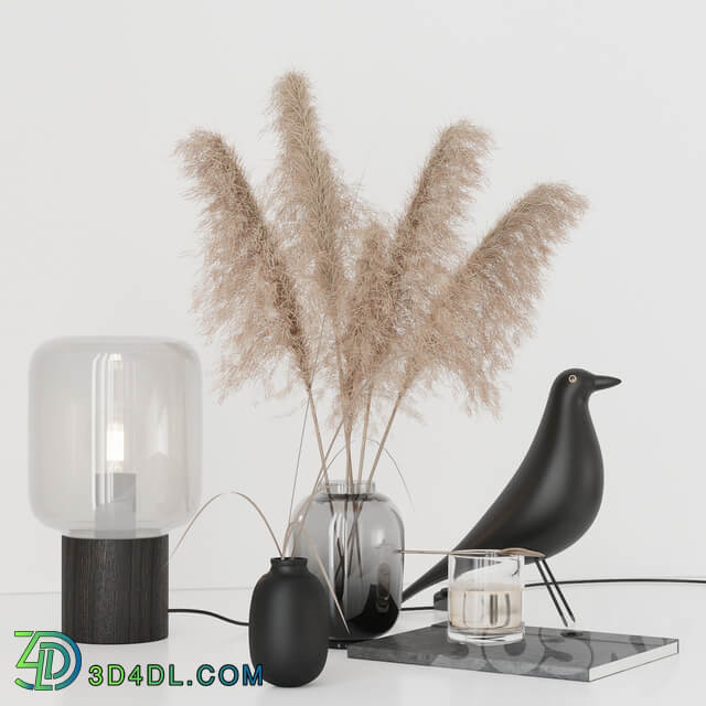 Black decorative set with pampas