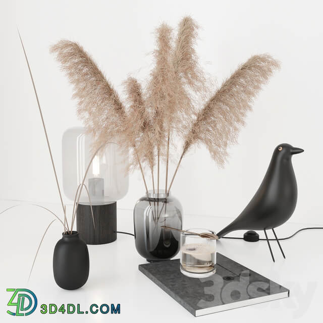 Black decorative set with pampas