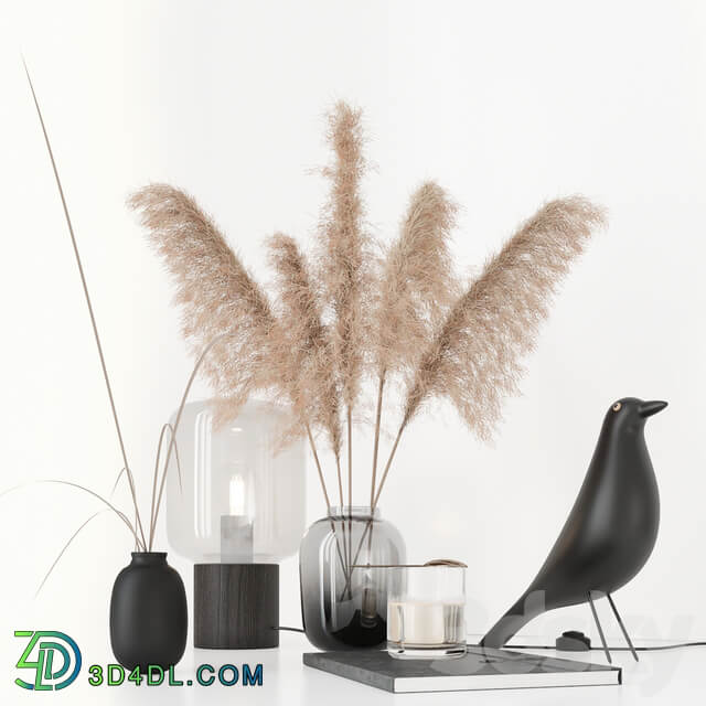 Black decorative set with pampas