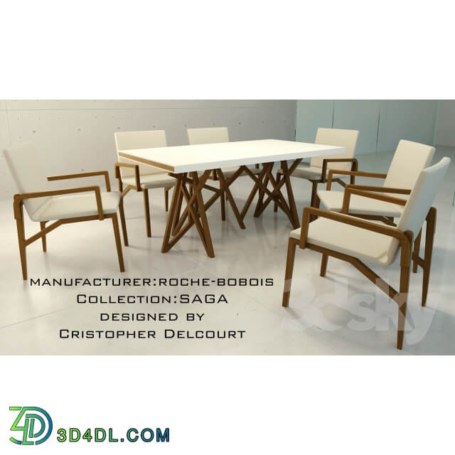 Table Chair Roche bobois
