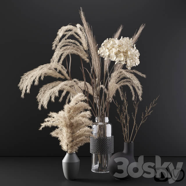Set with dry plants