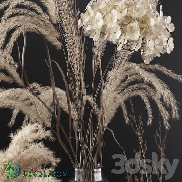Set with dry plants