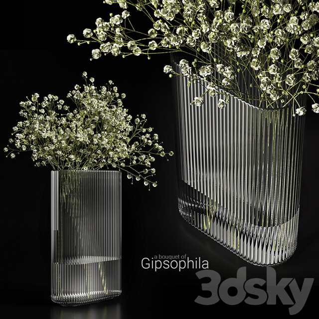 A bouquet of gypsophila