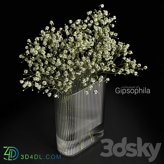 A bouquet of gypsophila