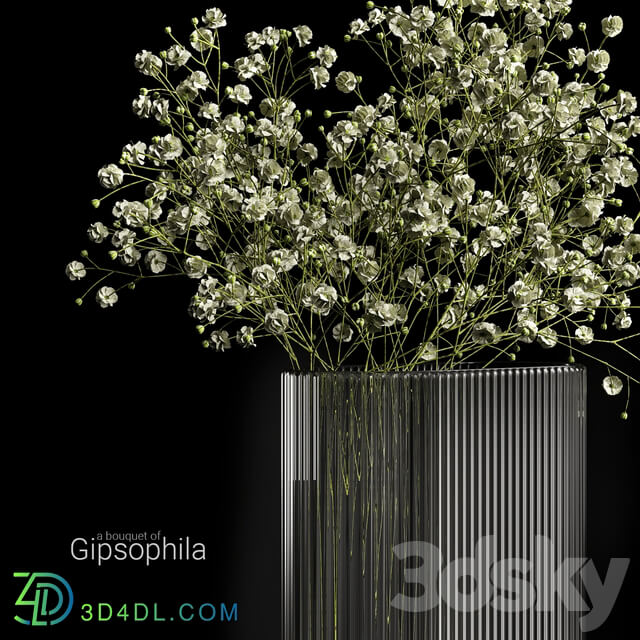 A bouquet of gypsophila