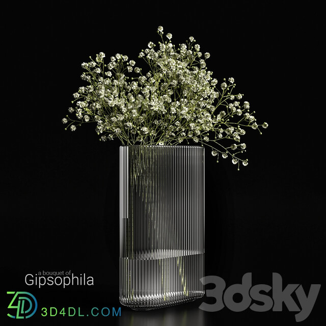 A bouquet of gypsophila