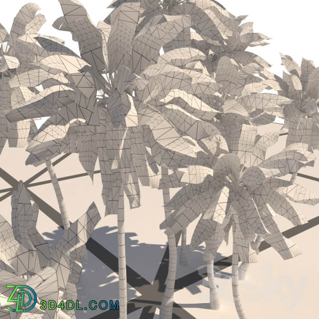 Coconut Palms animation 3D Models