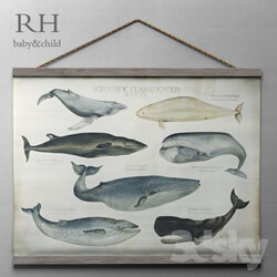 Miscellaneous RH SCIENTIFIC WHALE TAPESTRY 
