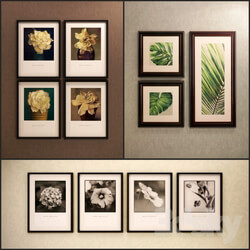 The picture in the frame 11 Pieces Collection 13 Flowers 