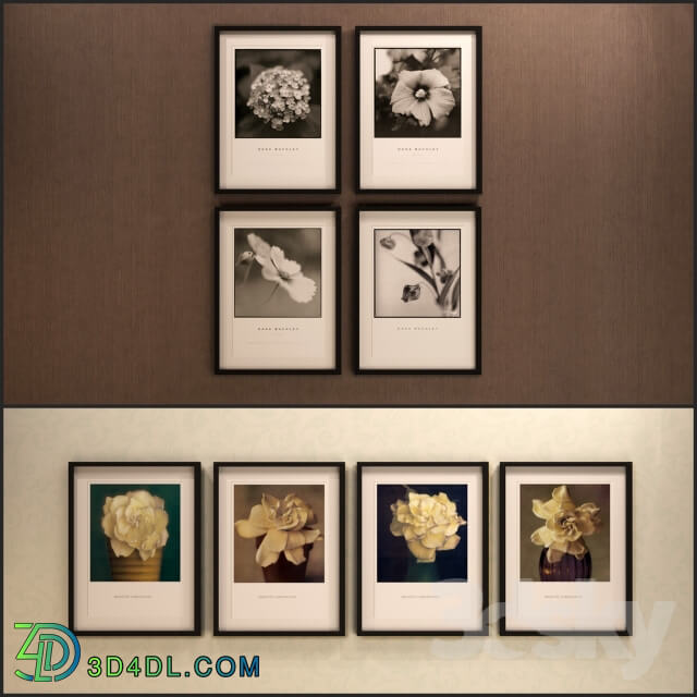 The picture in the frame 11 Pieces Collection 13 Flowers