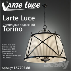 Larte luce Torino L57705 88 