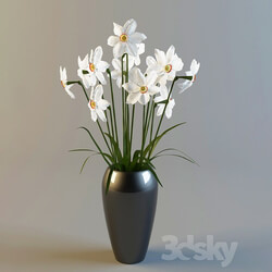 Daffodils 3D Models 