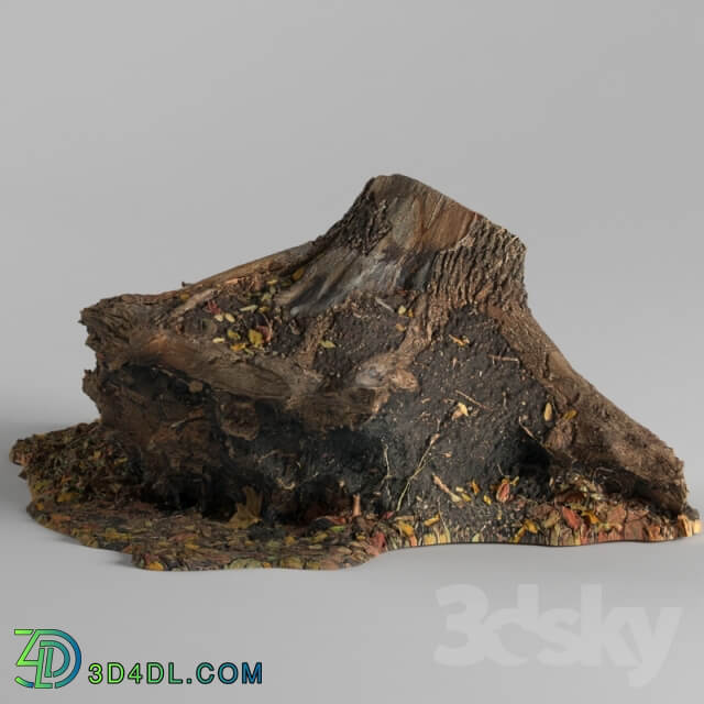 Stump Environment elements 3D Models