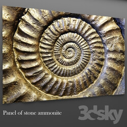 Other decorative objects Panel Stone ammonium 