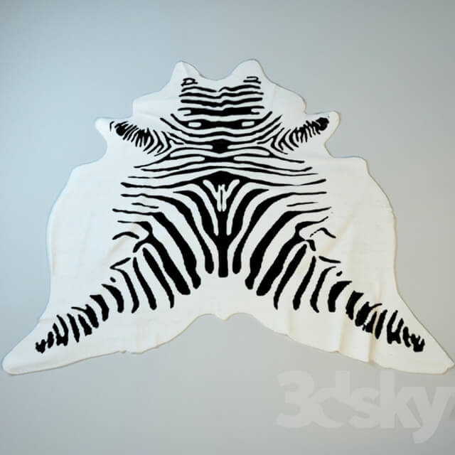 Other decorative objects Zebra skin