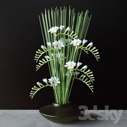 Flowers Freesia Indoor 3D Models 